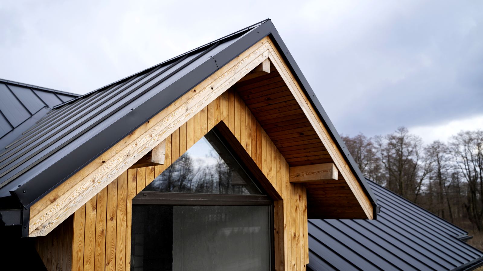 Roofline and wood cladding of a contemporary home